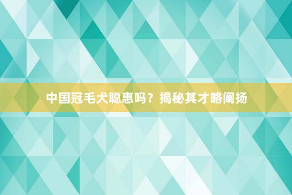 中国冠毛犬聪惠吗？揭秘其才略阐扬