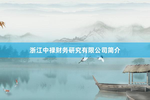 浙江中禄财务研究有限公司简介